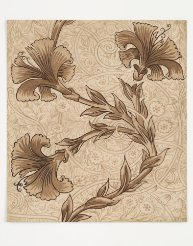 A sepia design of flowers and stems swirling upwards