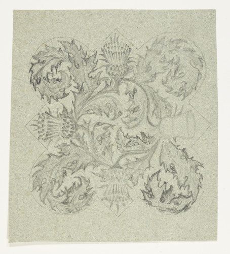 Thistle design in pencil on paper.