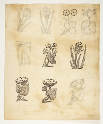 Ten floral sketches on paper.