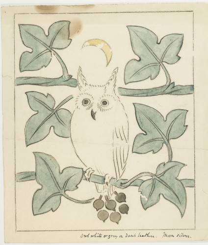 Design of an owl sitting amongst green ivy leaves with the moon above in yellow.