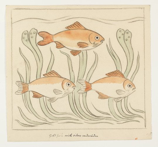 Three orange goldfish and reeds.