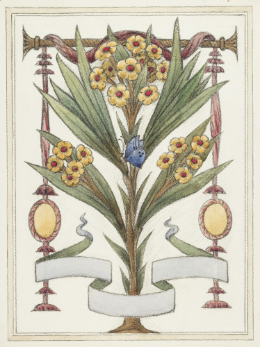 Botanical design with leaves, yellow flowers, a blue butterfly and a pale grey blank banner folded at the bottom.