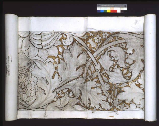 Rolled cartoon showing monochrome design with acanthus leaves