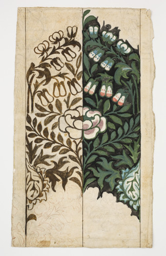 A symmetrical design of leaves and flowers in colour on the right and in sepia watercolour on the left