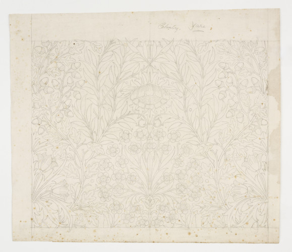 A pencil design on tracing paper of oak and willow leaves, acorns and flowers