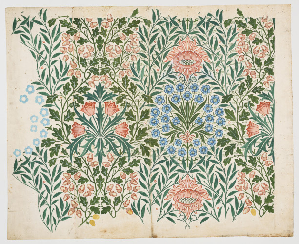 A lively, coloured pattern of leaves, acorns and flowers