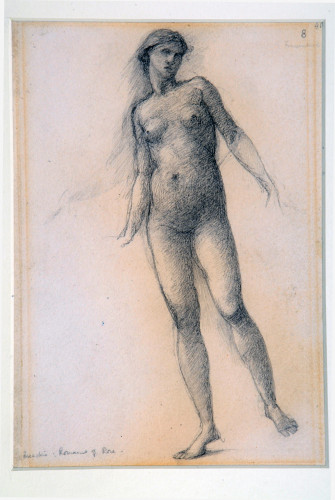 Drawing of a naked woman standing