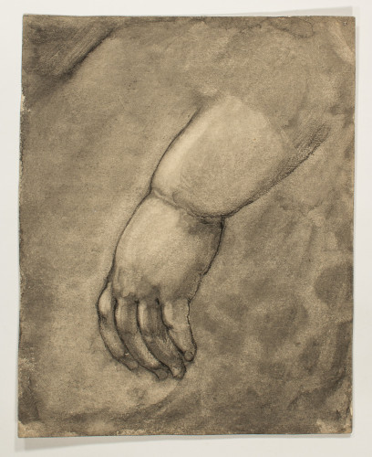 Study of a baby's hand