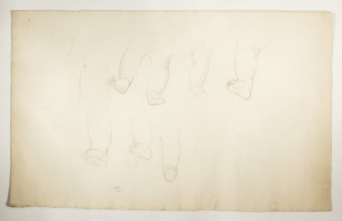 Study of babies legs and feet