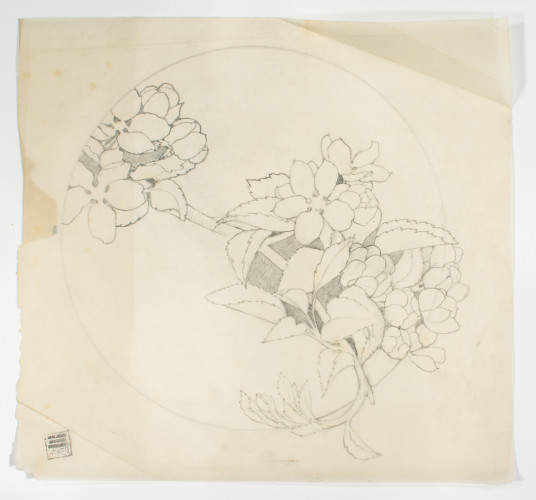 Study of flowers in circular design