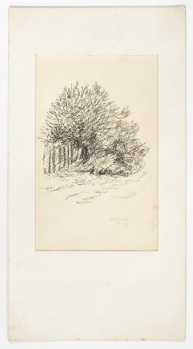 Sketch of trees on Hampstead Heath